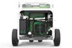 GENERADOR GASOLINA - PROPANO NATURA 3000 GENERGY