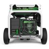 GENERADOR GASOLINA - PROPANO NATURA 7000 GENERGY