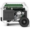 GENERADOR GASOLINA - PROPANO NATURA 7000 GENERGY