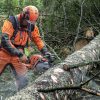 Motosierra HUSQVARNA 545 Mark II