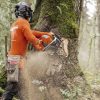 Motosierra HUSQVARNA 592XP